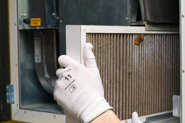 Best HVAC Maintenance and Cleaning  in Lewiston, CA