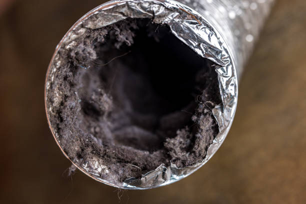 Best Air Duct Cleaning Near Me  in Lewiston, CA